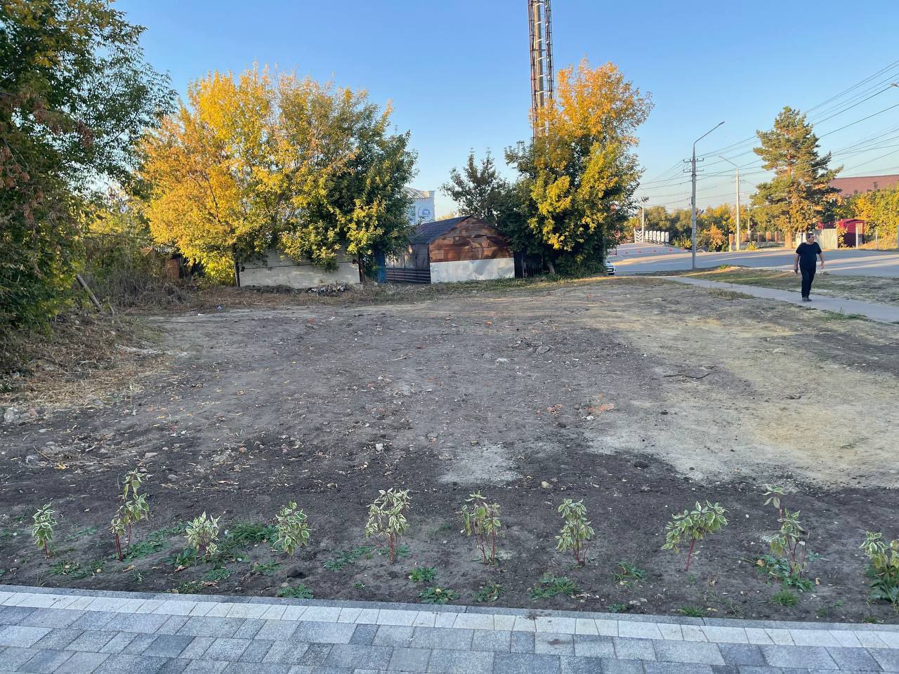 В Петровске появится ботанический сад с экзотическими растениями